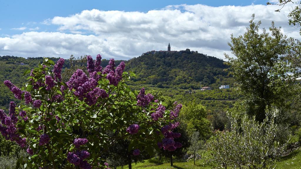 Villa Vires Labin  Esterno foto